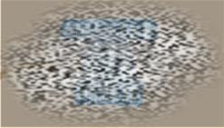 /uploadfile/2025/0301/20250301160342451.jpg