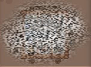 /uploadfile/2025/0324/20250324131931916.jpg