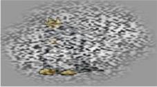 /uploadfile/2025/0331/20250331155323651.jpg
