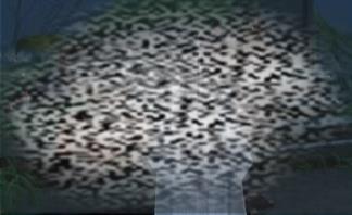 /uploadfile/2025/0402/20250402115811151.jpg