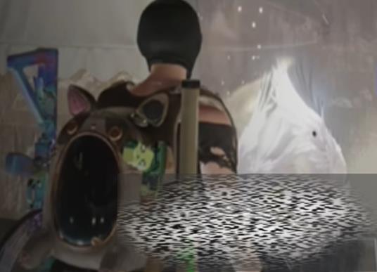 /uploadfile/2025/0515/20250515142001863.jpg